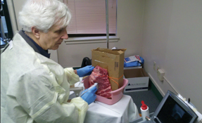 Michael Westley MD ACP Member of the Virginia Mason Medical Center in Seattle practices using ultrasound guidance to identify and tap fluid on a do-it-yourself simulator made from pork ribs Photo