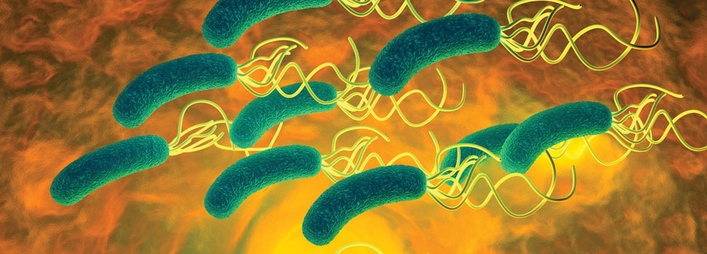 Internal medicine physicians can manage initial less-thanigreater-thanH pyloriless-than-igreater-than evaluation for most patients with the nonendoscopic urea breath test and the fecal antigen test Image by PRB ARTS